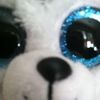 puppies2406